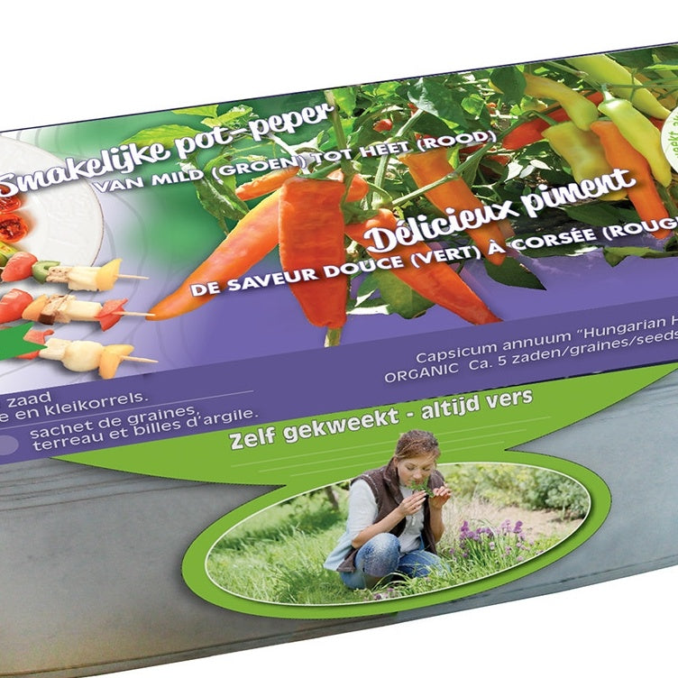 Paprika ‘Hungarian Hot Wax’ Bio mit Zink-Pflanzgefäß - Willemse