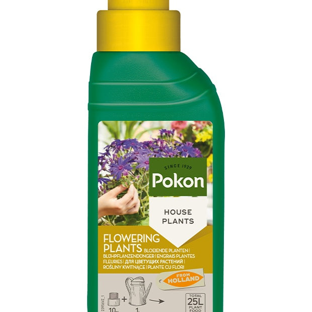Pokon Flüssigdünger Blühpflanzen - Willemse