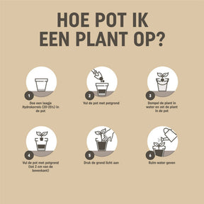 Pokon Bio Gemüsegartenerde