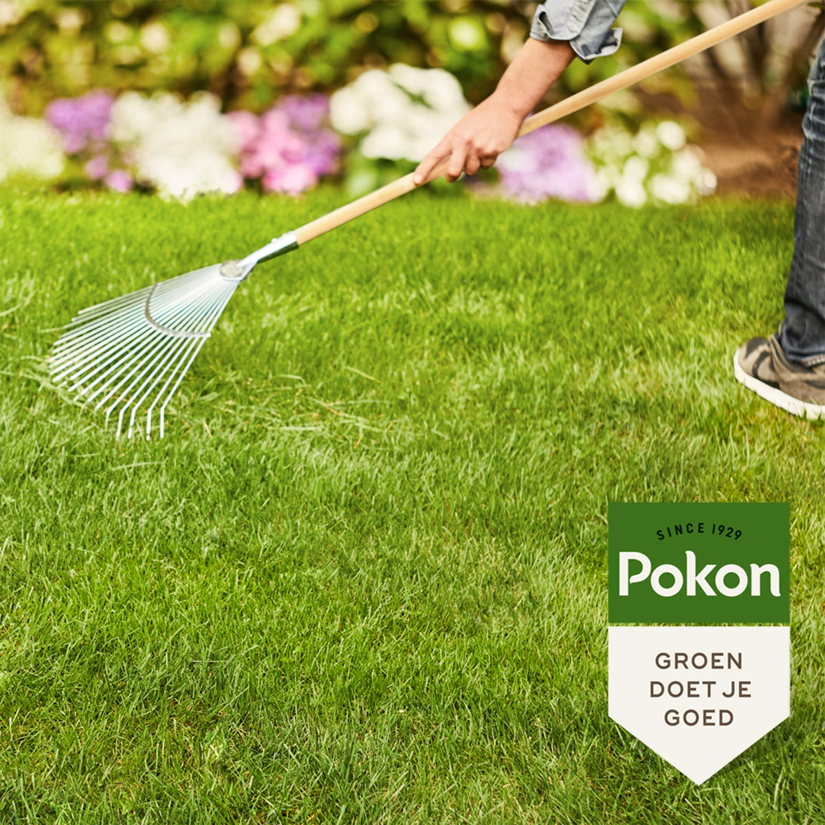 Pokon Bio Rasendünger mit Kalk