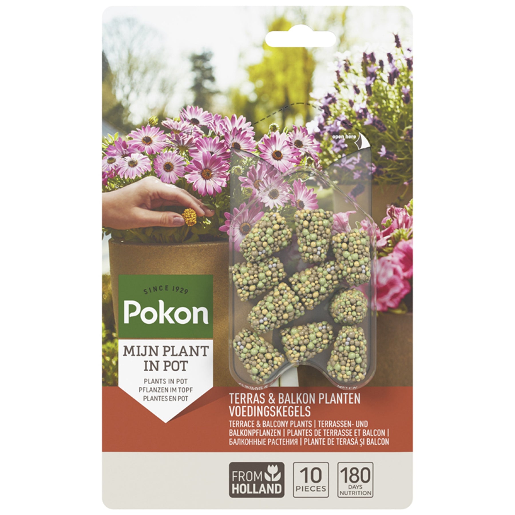 Pokon Dünger für Terrassen- und Balkonpflanzen
