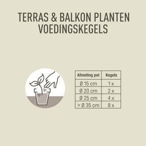 Pokon Dünger für Terrassen- und Balkonpflanzen