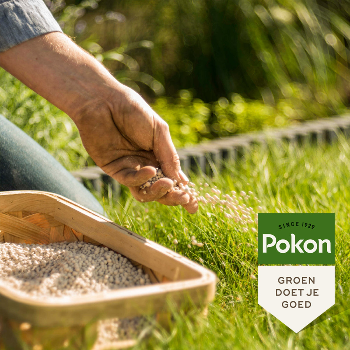 Pokon Bio Rasenkalk