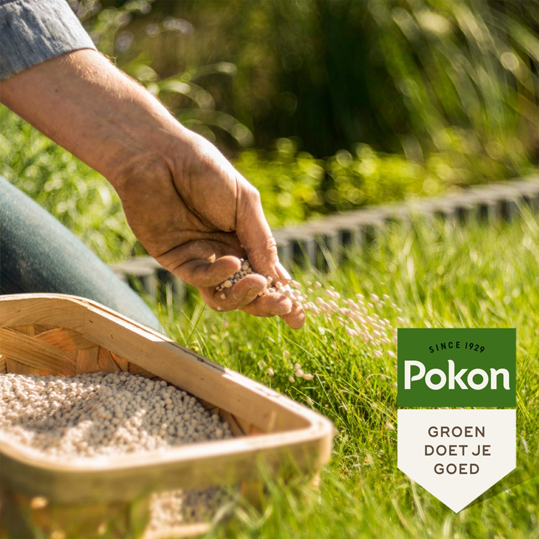Pokon Bio Rasenkalk