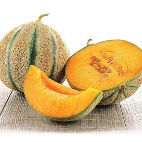 Zuckermelone Stellio F1 - Cucumis melo stellio f1 - Willemse