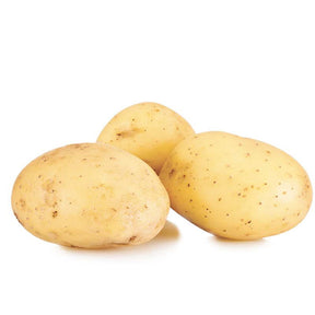 Kartoffel ‘Étincelle’ (x25) - Solanum tuberosum etincelle - Willemse